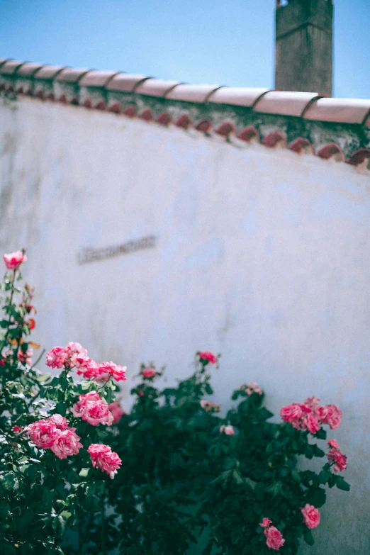 a white building with pink flowers in front of it, by Carey Morris, trending on unsplash, romanticism, before a stucco wall, tiles, backyard, hidden message