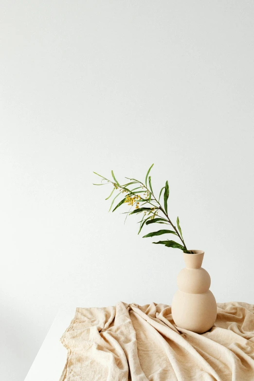 a vase that is sitting on a table, by Rebecca Horn, trending on unsplash, minimalism, pale beige sky, olive tree, ocher, side pose