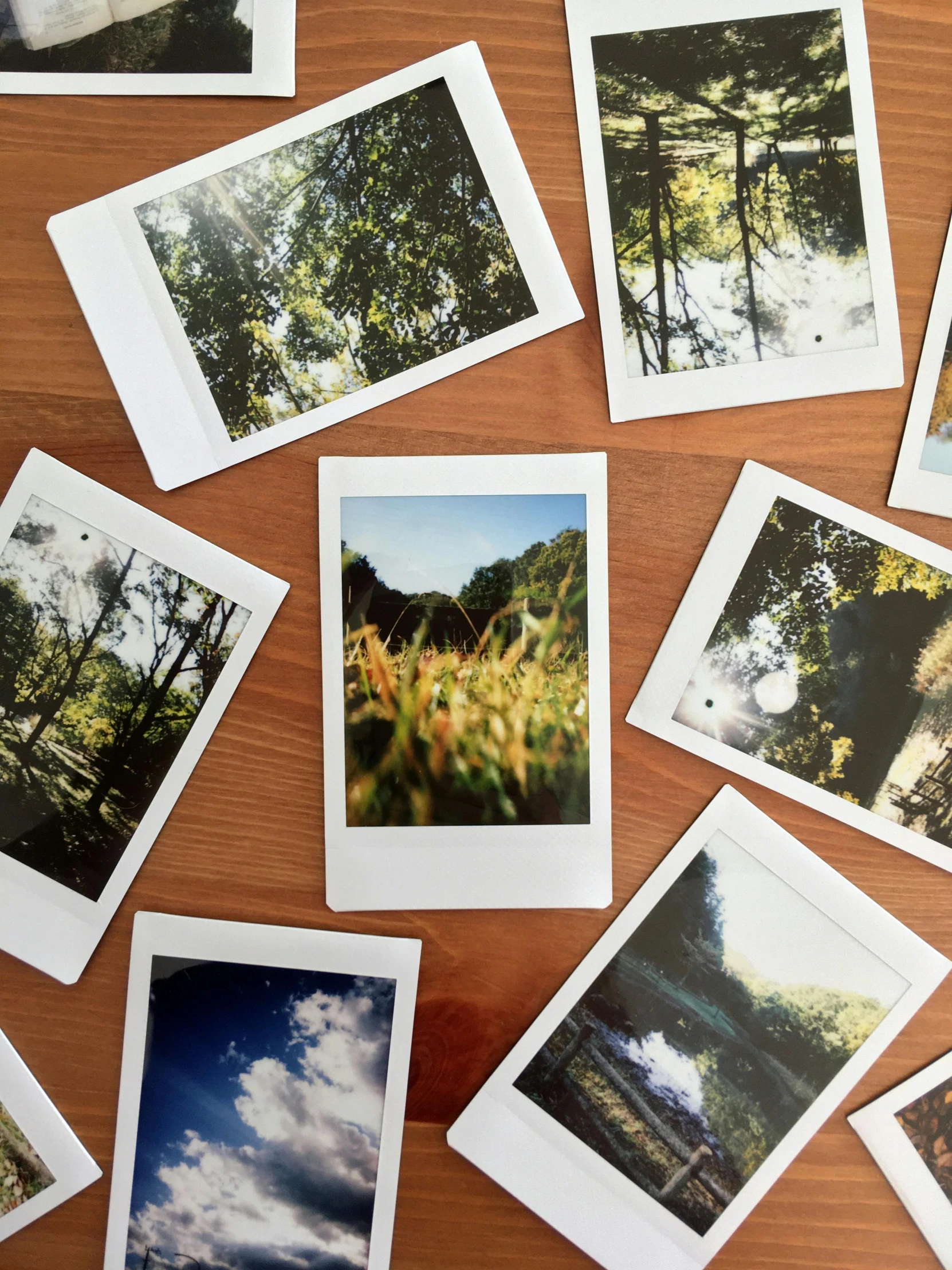 a bunch of polaroids sitting on top of a wooden table, trees around, as photograph