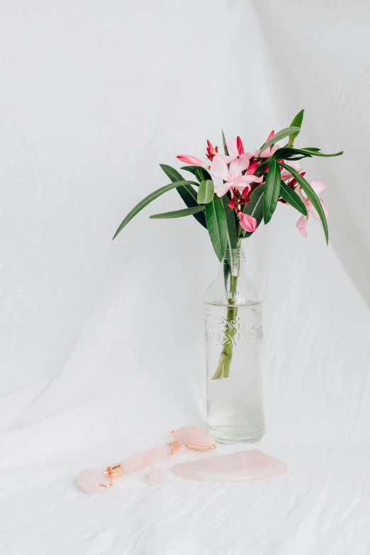 a vase filled with pink flowers sitting on top of a white sheet, inspired by François Boquet, trending on unsplash, lily, on clear background, with a long, with a soft