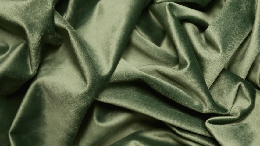 a close up of a green fabric, velvet, sage green, satin silver, monochrome