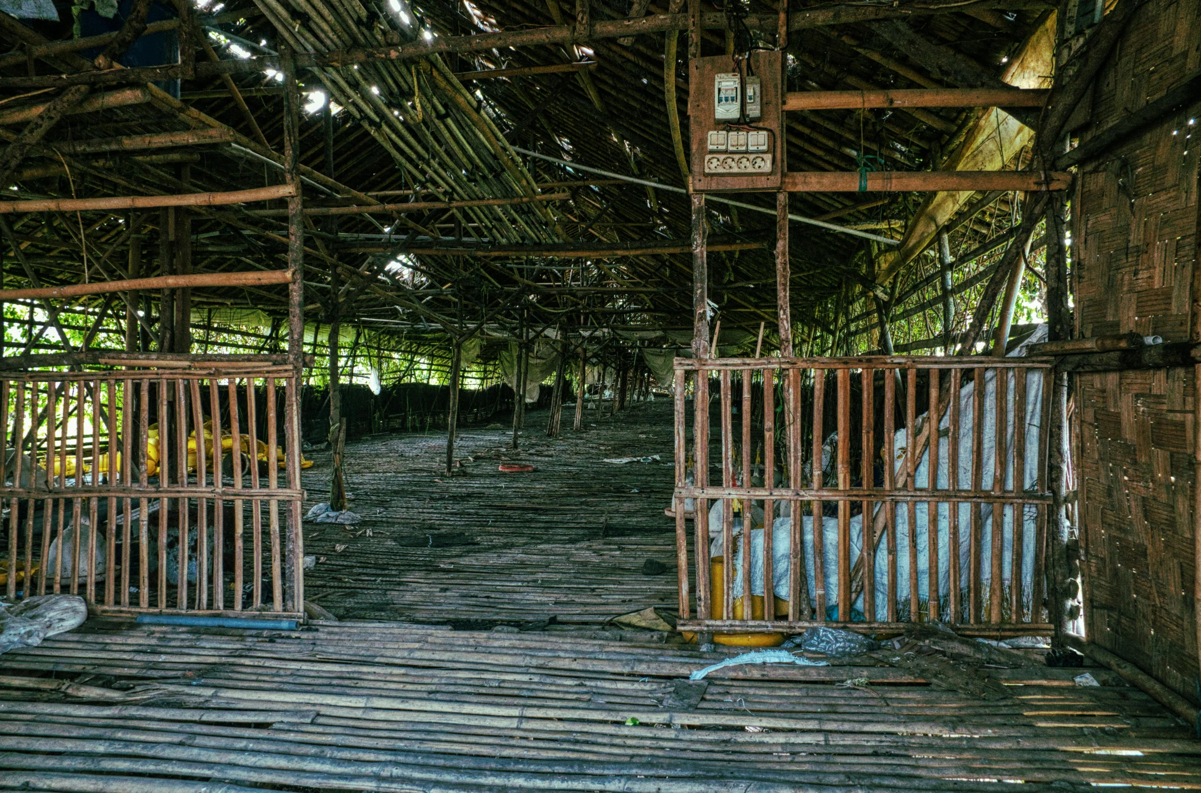 a couple of cages that are inside of a building, sumatraism, burnt forest, background image, some stalls, “pig