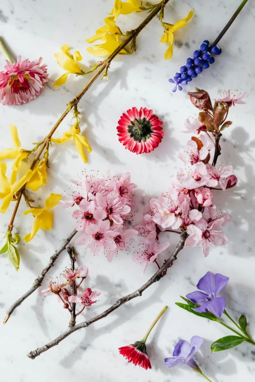 a bunch of flowers sitting on top of a table, trending on pexels, fruit trees, vortex of plum petals, full product shot, set against a white background