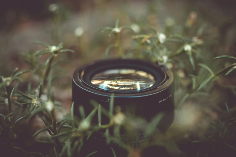 a close up of a camera lens in the grass, pexels contest winner, short telephoto, photorealistic 35mm'