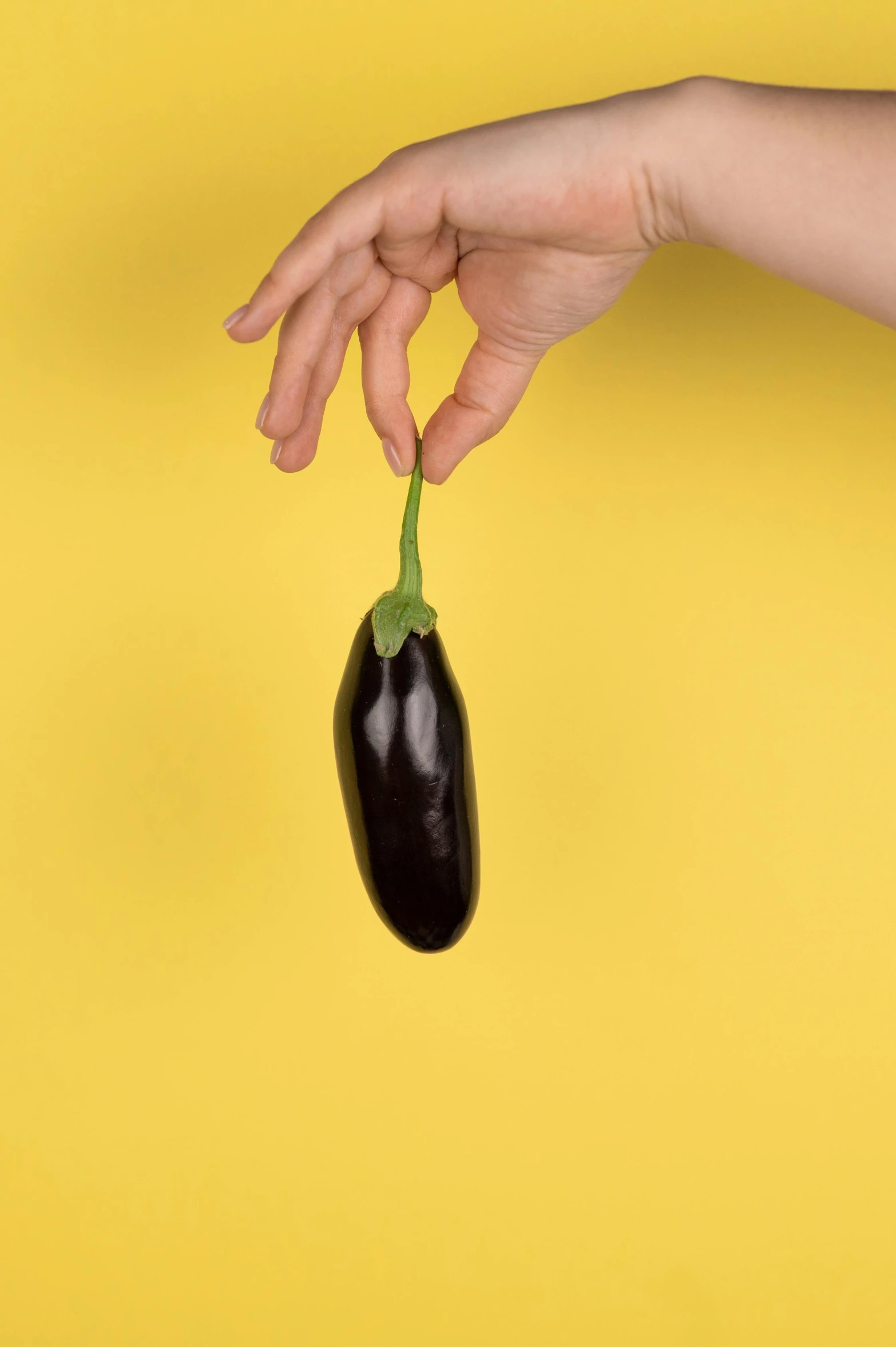 a hand holding an eggplant on a yellow background, by Julia Pishtar, unsplash, fantastic realism, clemens ascher, made of smooth black goo, high quality upload, large tail