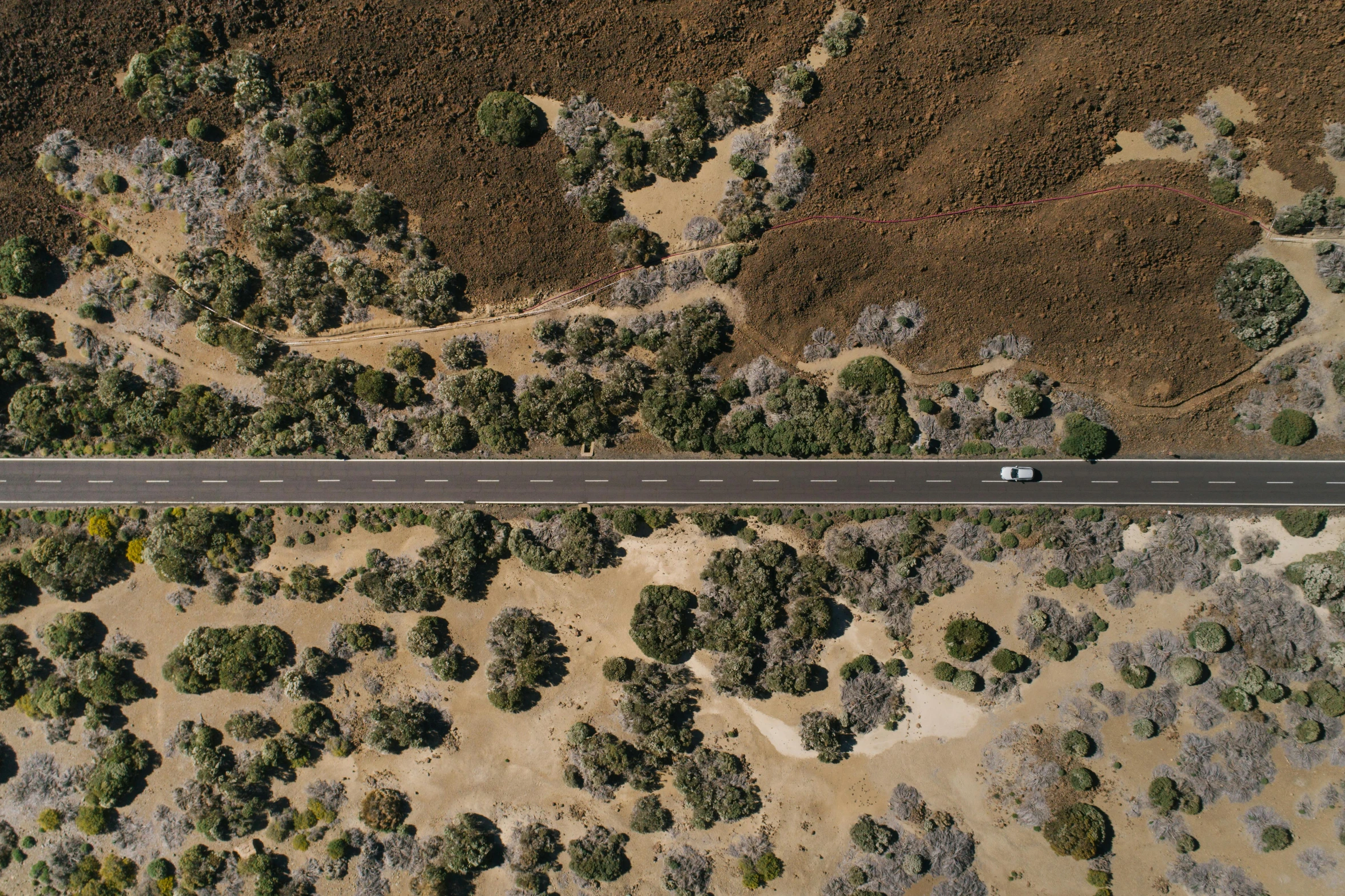 an aerial view of a road surrounded by trees, by Lee Loughridge, unsplash, photorealism, the australian desert, ignant, thumbnail, vehicle