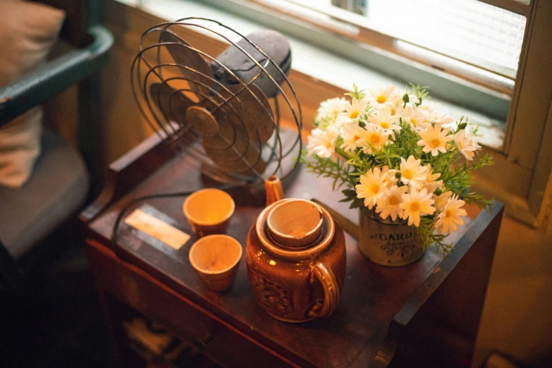 a table topped with vases and a fan next to a window, by Pamela Ascherson, unsplash, chamomile, brown flowers, server, vintage glow