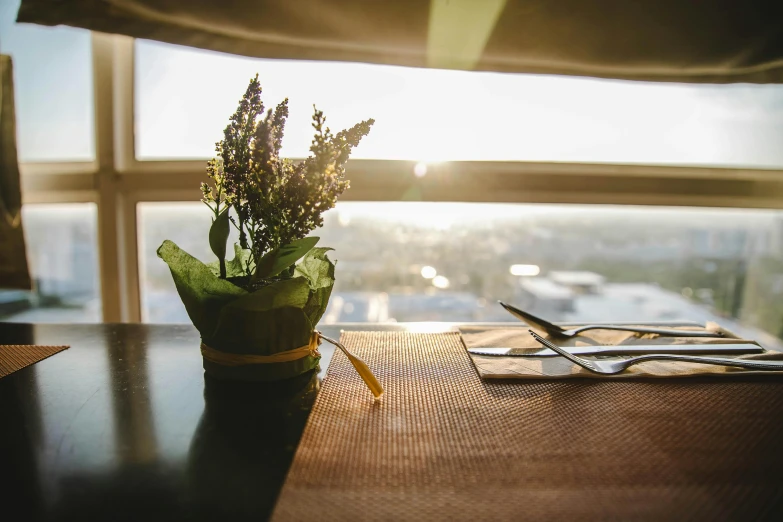 a vase filled with flowers sitting on top of a table, unsplash, sun rising, chef table, city views, herbs