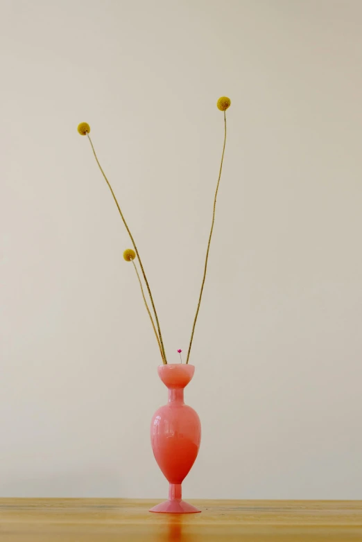 a pink vase sitting on top of a wooden table, a surrealist sculpture, inspired by Desmond Morris, conceptual art, antennae, rinko kawauchi, tall flowers, very sparse detail