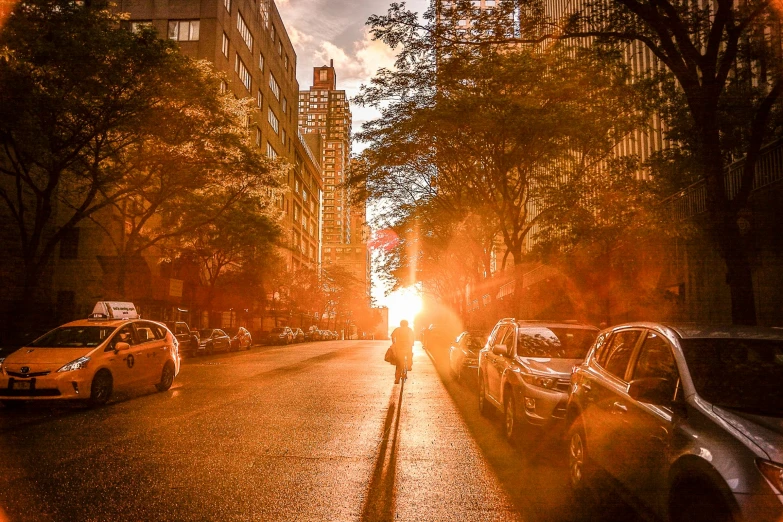 a person riding a bike down a city street, by Matt Stewart, pexels contest winner, golden hour in manhattan, sun shafts, fall season, sun shines down on the car