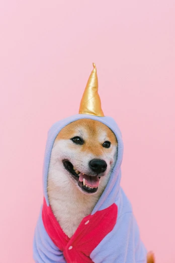 a dog wearing a unicorn costume on a pink background, trending on unsplash, anthropomorphic shiba inu, wearing a grey wizard hat, けもの, wearing a golden crown