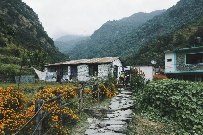 a stone path with orange flowers in front of a house, by Charlotte Harding, pexels contest winner, hurufiyya, nepali architecture buildings, tribe huts in the jungle, standing in front of a mountain, grey