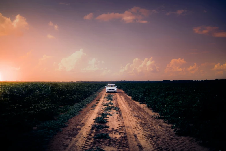 a car driving down a dirt road at sunset, an album cover, by Brad Holland, pexels contest winner, realism, cotton, lush farm lands, louisiana, horizon