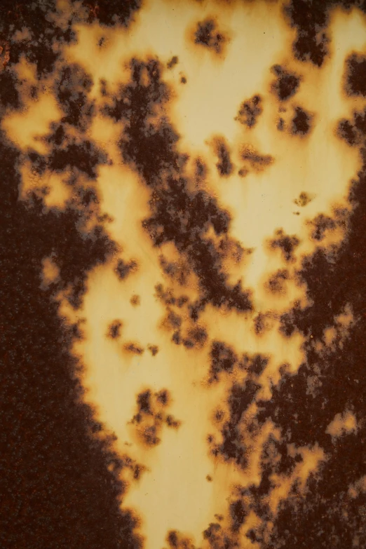 a close up of rust on a metal surface, an album cover, inspired by Anna Füssli, particle simulation, vanilla, chocolate, yellow volumetric fog