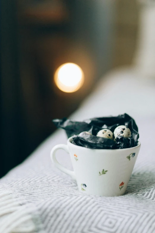 a bird that is sitting in a cup, a still life, by Lucia Peka, pexels contest winner, romanticism, dragon eggs, white with chocolate brown spots, hygge, miniature product photo