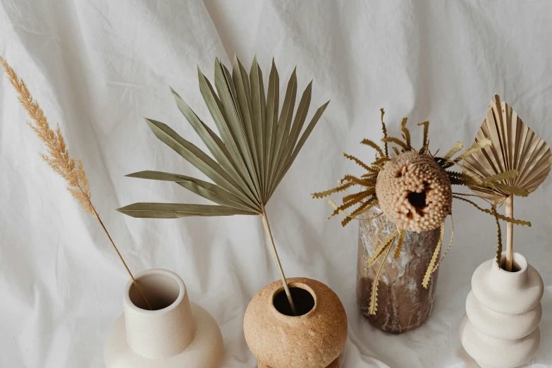 a number of vases with plants in them, a still life, trending on pexels, minimalism, dried palmtrees, suns, brown flowers, tiny sticks