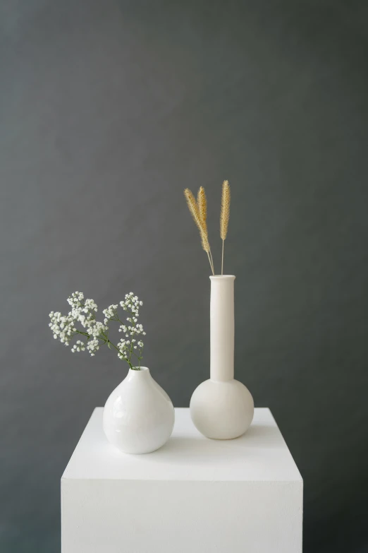 a couple of vases sitting on top of a white table, minimalism, bullrushes, adi meyers, puffballs, tall shot