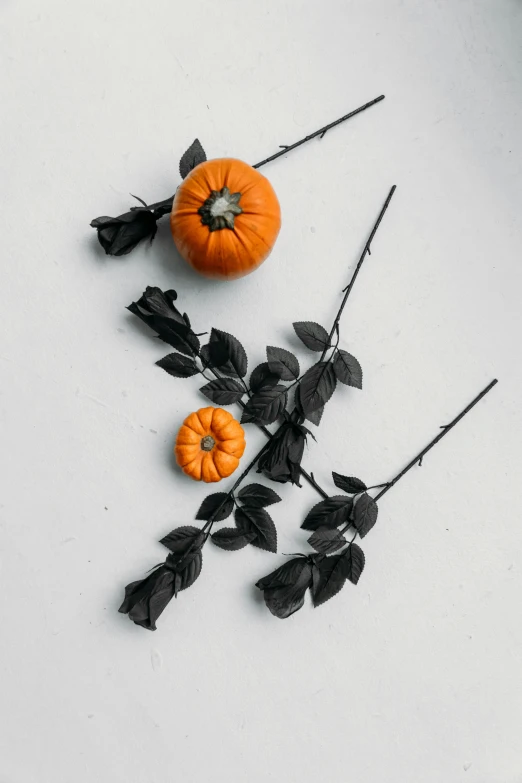 a couple of fake pumpkins sitting on top of a table, by Carey Morris, trending on unsplash, black roses, spike - like branches, made of silk paper, product introduction photo