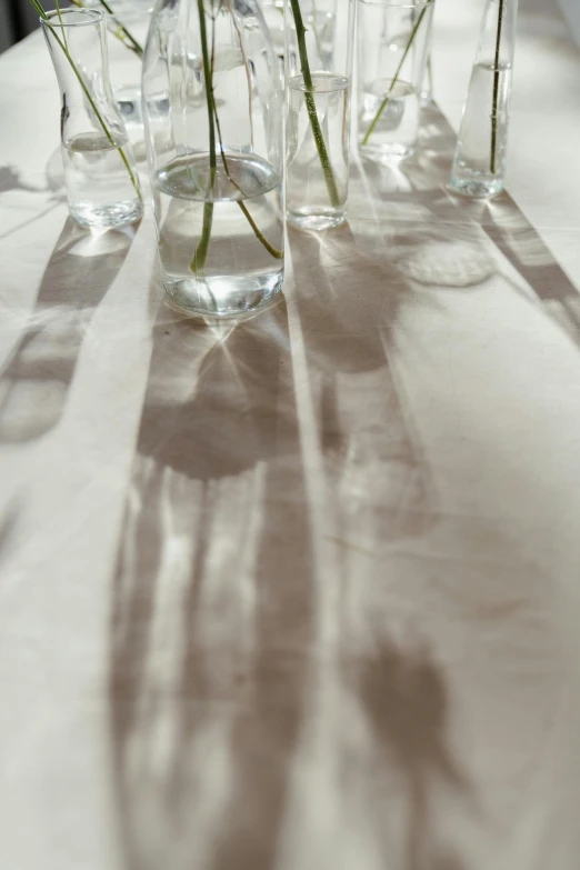 a number of vases with flowers in them on a table, inspired by André Kertész, unsplash, light and space, white cloth in wind shining, long cast shadows, detail shot, tablecloth