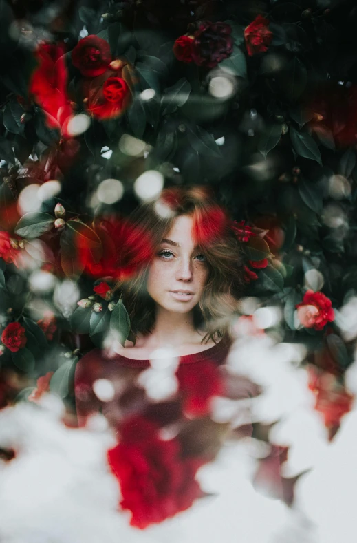 a woman in a red dress surrounded by flowers, inspired by Elsa Bleda, unsplash contest winner, 4k symmetrical portrait, defocus, anna nikonova aka newmilky, portal made of roses