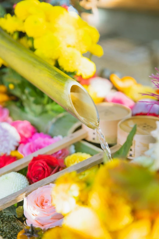 a person pouring water on a bunch of flowers, vietnamese temple scene, paradise garden massage, multicoloured, gold