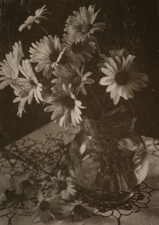 a black and white photo of flowers in a vase, a still life, unsplash, post-impressionism, 1910 polaroid photography, daisies, early 2 0 th century, 2022 photograph