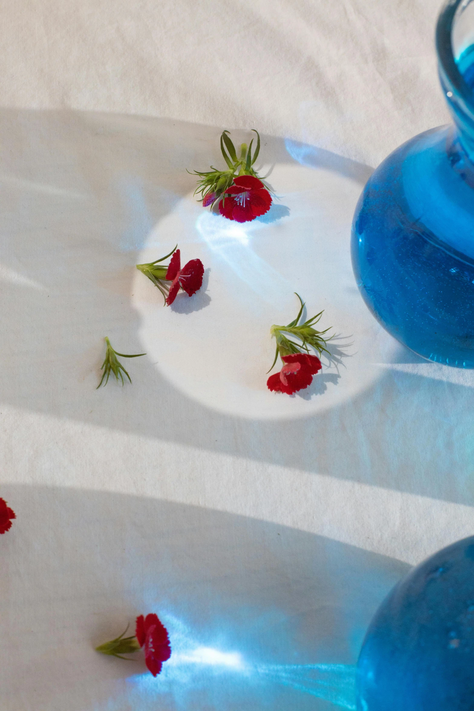 a blue vase sitting on top of a white table, a still life, inspired by Riad Beyrouti, romanticism, small red roses, pools of water, product display photograph, closeup - view