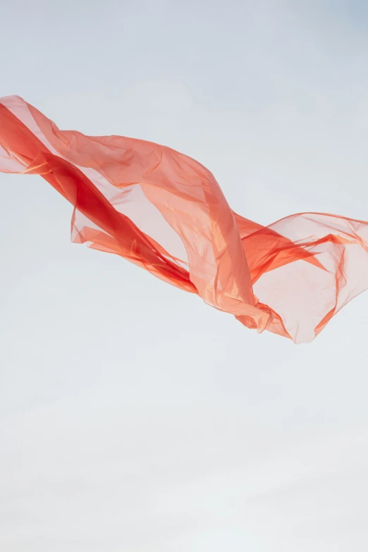 a person flying a kite in the sky, an album cover, inspired by Christo, pexels, visual art, flowing salmon-colored silk, danish flag, made of lab tissue, unsplash photo contest winner