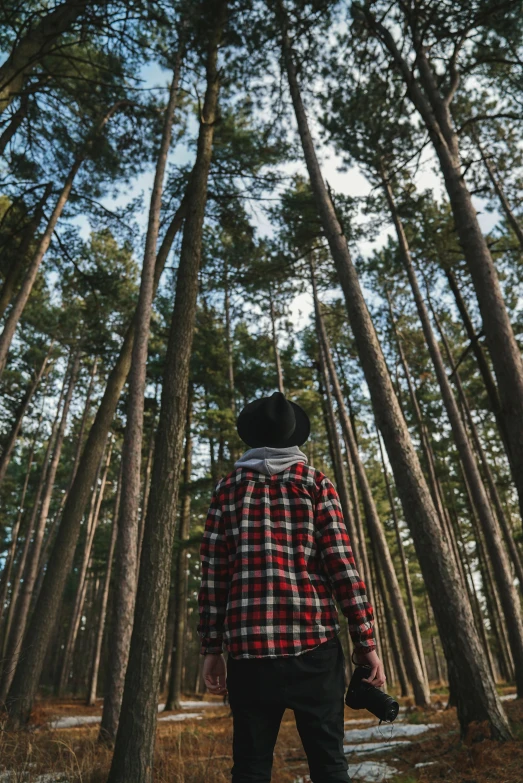 a man standing in the middle of a forest holding an ax ax ax ax ax ax ax ax ax ax ax ax ax ax, unsplash, tartan hoodie, ((trees)), looking from slightly below, ((forest))