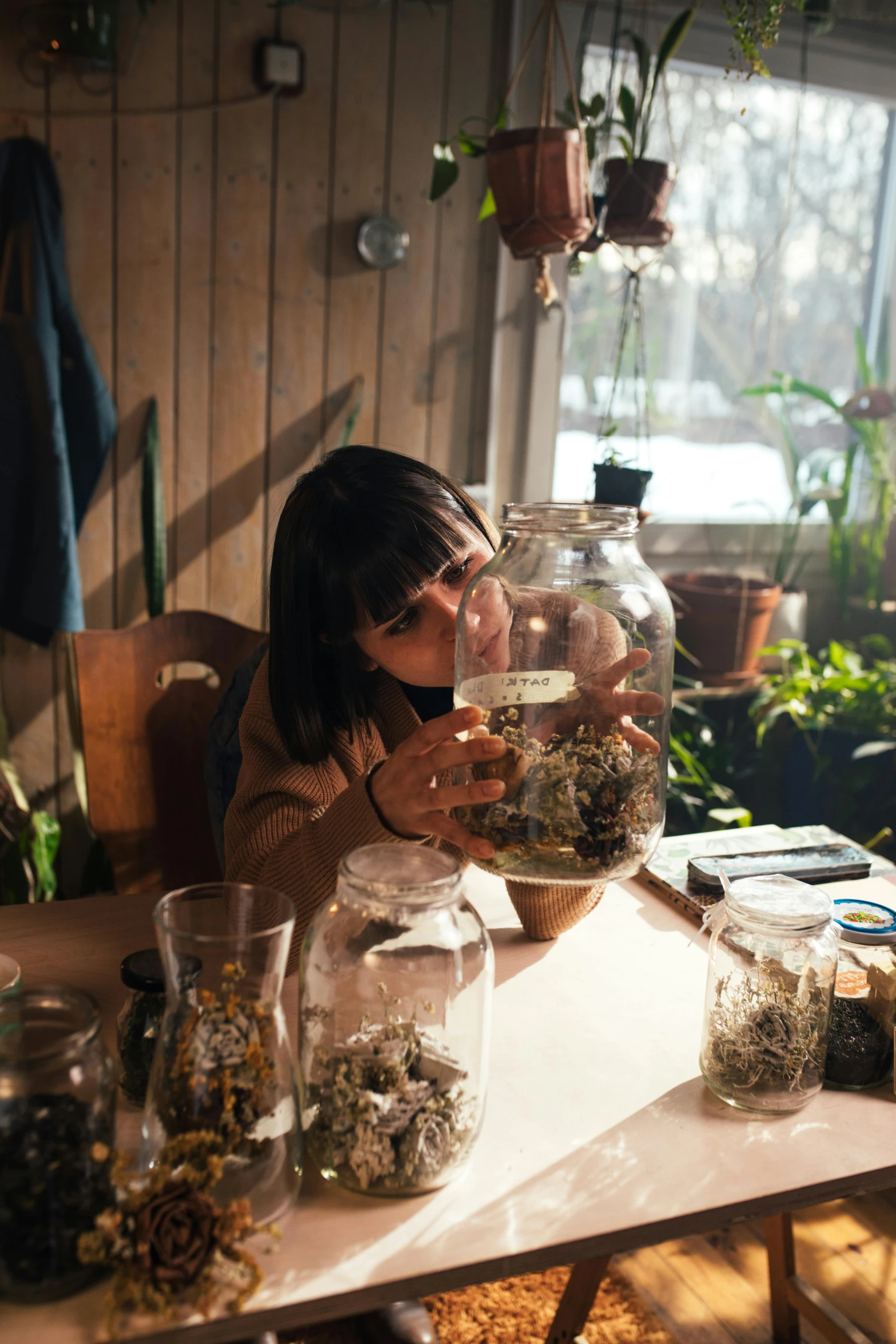 a woman sitting at a table holding a jar filled with plants, pexels contest winner, process art, winter sun, vivarium, lulu chen, panoramic shot
