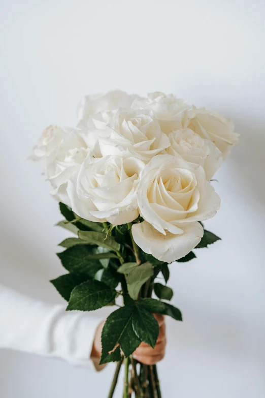 a person holding a bouquet of white roses, by Robbie Trevino, hearts, clean and pristine design, lumi, velvet