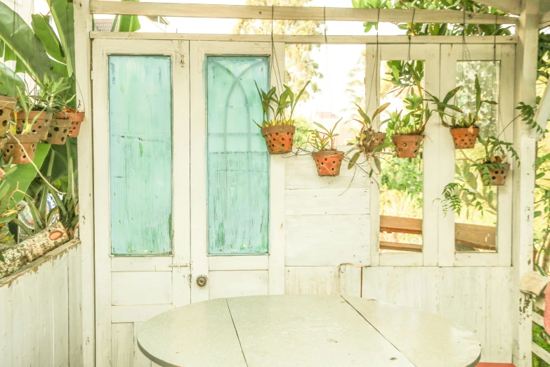 a table and some potted plants on a porch, unsplash, art nouveau, jakarta, pastel green, inside a shed, bao phan