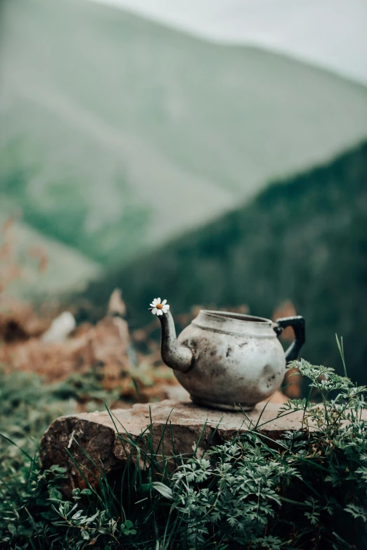 a tea pot sitting on top of a tree stump, by Muggur, pexels contest winner, in the hillside, vintage photo, herbs, [ cinematic