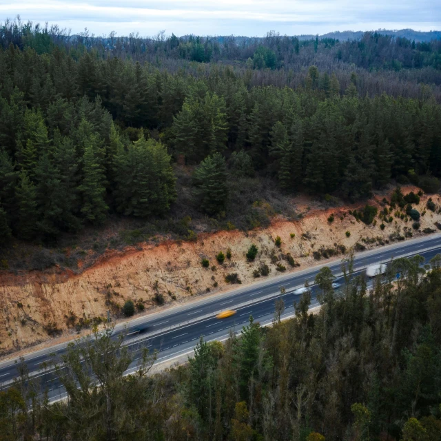 an aerial view of a highway surrounded by trees, by Lee Loughridge, hurufiyya, manuka, dark pine trees, thumbnail, landslides