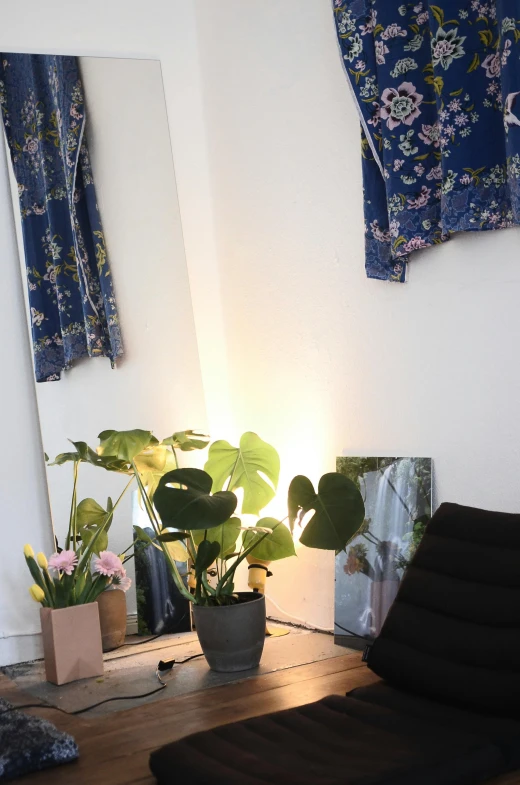 a black chair sitting on top of a wooden floor, a picture, lamps and flowers, studio kyoto, our art corner, profile image