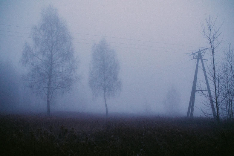 a foggy field with trees and power lines in the background, by Attila Meszlenyi, pexels contest winner, andrei tarkovsky scene, cold scene, purple fog, pale blue fog