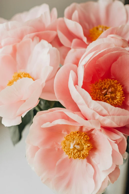 a vase filled with pink flowers on top of a table, by Kristin Nelson, trending on unsplash, made of silk paper, peony, pale orange colors, closeup - view