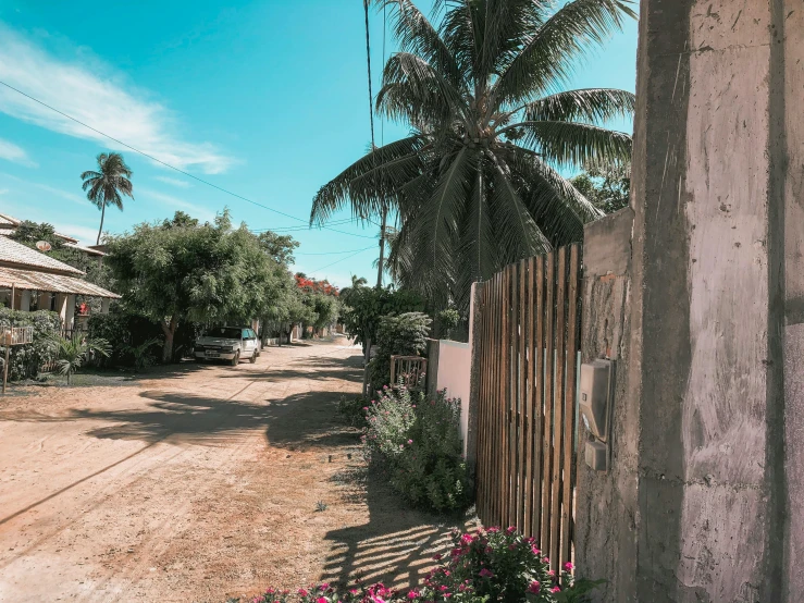 a dirt road with a palm tree in the background, pexels contest winner, cottage town, street of teal stone, tropical style, brown