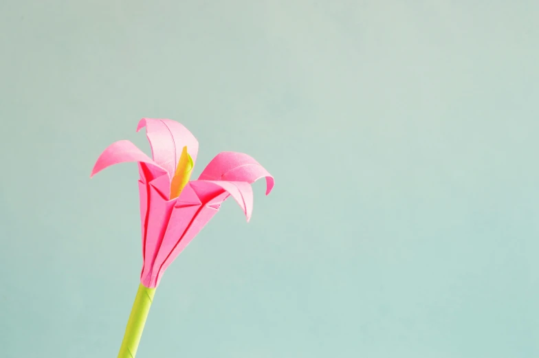 a close up of a pink flower in a vase, unsplash, minimalism, paper origami, exotic lily ears, turquoise pink and green, 15081959 21121991 01012000 4k
