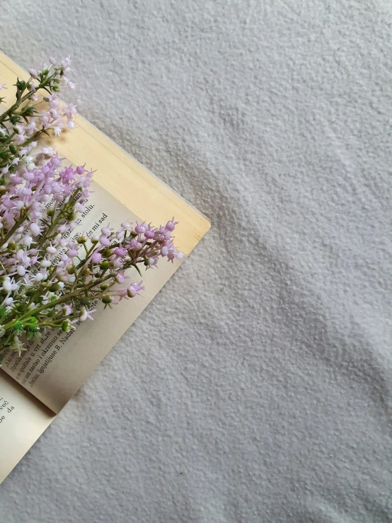 a book with a bunch of flowers on top of it, trending on unsplash, wearing a grey robe, lavender, low quality photo, cotton fabric