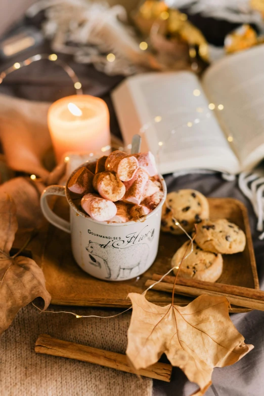 a cup of hot chocolate with marshmallows and cookies on a tray, a still life, by Julia Pishtar, pexels contest winner, soft diffuse autumn lights, square, curled up on a book, halloween scene