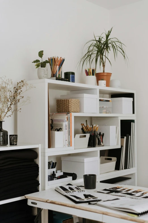 a white desk with a computer on top of it, by Andries Stock, trending on pexels, maximalism, standing on a shelf, botanicals, white box, architect studio