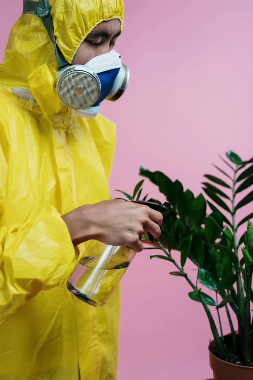 a person in a yellow hazmat suit spraying a plant, by Julia Pishtar, fashionable, decoration, clean image, pink and yellow