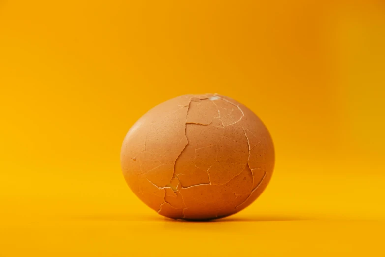 a cracked egg on a yellow background, an album cover, trending on pexels, profile picture, orange hue, shot on sony a 7, brown