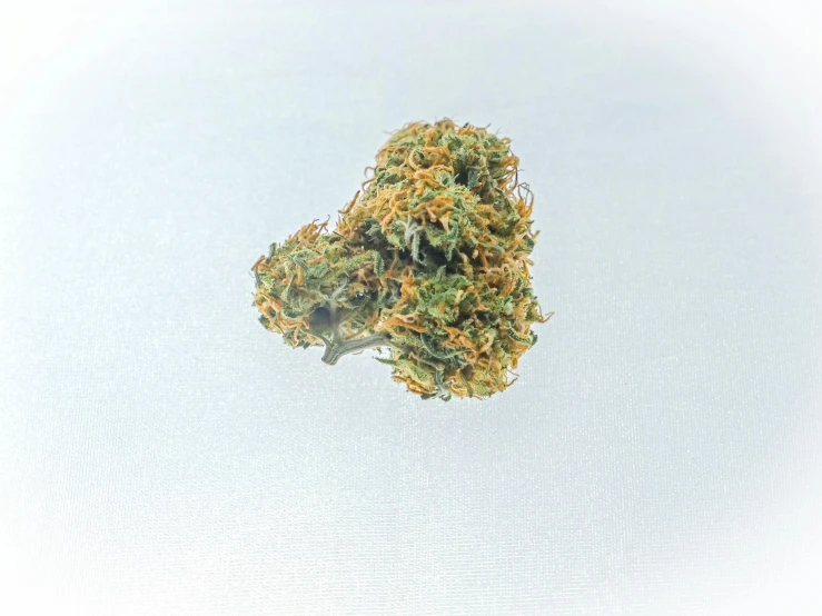 a close up of a flower on a white surface, a hologram, densely packed buds of weed, detailed product image, orange head, extra crisp image