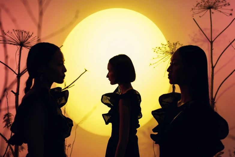 three women standing next to each other in front of a sun, inspired by Konstantin Somov, pexels contest winner, conceptual art, moon lighting, kara walker, jingna zhang, silhouette :7