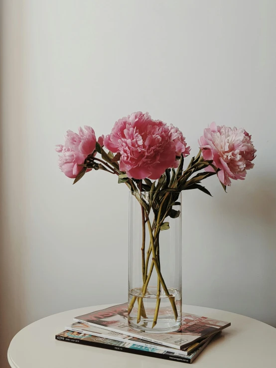 a vase filled with pink flowers sitting on top of a table, by Carey Morris, trending on unsplash, hyperrealism, peonies, plants in glass vase, large tall, taken on iphone 14 pro