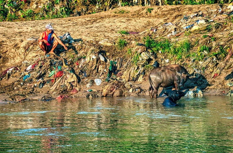 a man sitting on the side of a river next to a cow, by Daniel Lieske, pexels contest winner, sumatraism, full of trash, bright sunny day, hunting bisons, 🦩🪐🐞👩🏻🦳