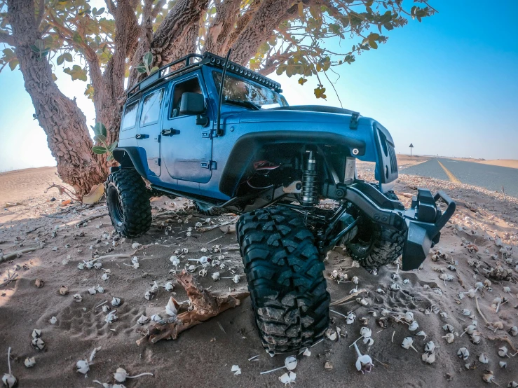 a blue jeep parked under a tree in the desert, extreme detailing, monster ashore, profile image, gopro photo