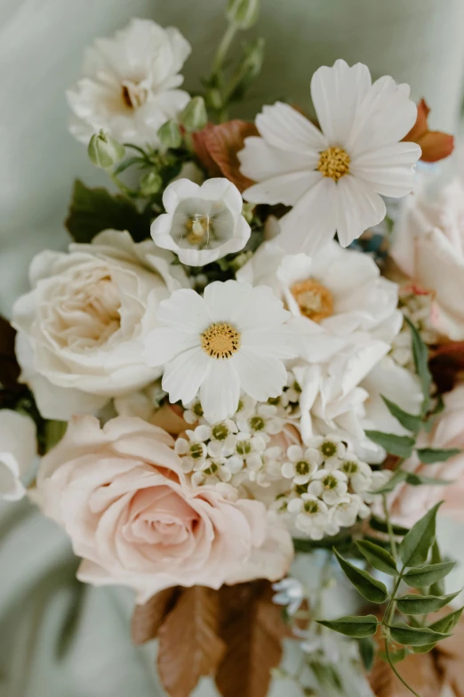 a close up of a bouquet of flowers, muted palette mostly white, flirty, comforting, centerpiece